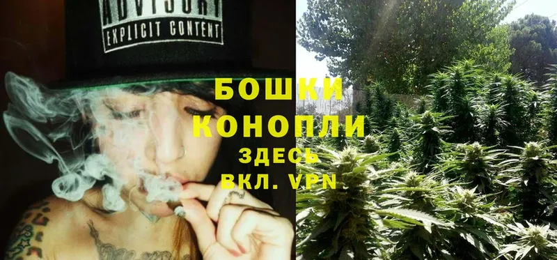 Конопля Ganja  как найти наркотики  Калтан 